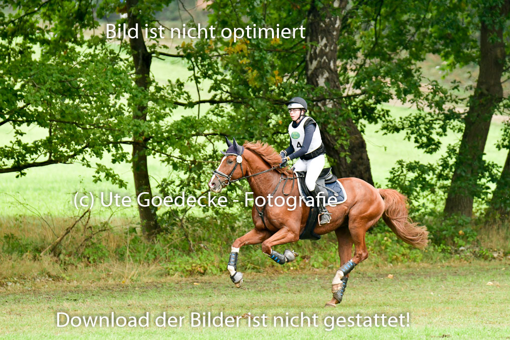 Mechtersen 24.09.2022 | 24092022 CCI XC _026 