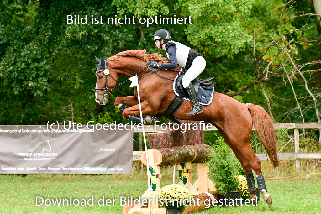 Mechtersen 24.09.2022 | 24092022 CCI XC _028 