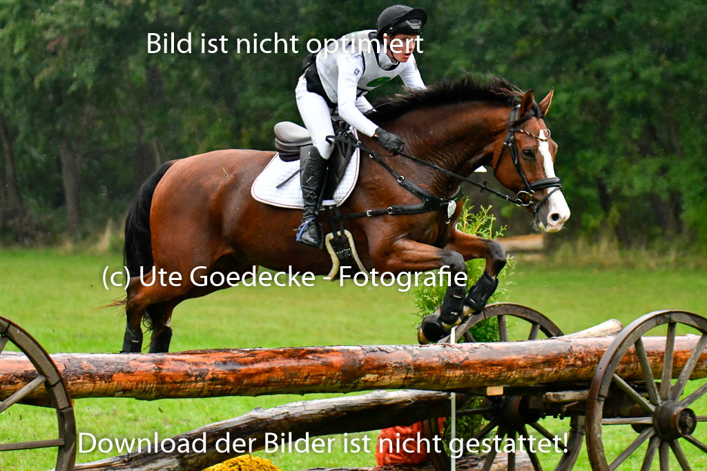 Mechtersen 24.09.2022 | 24092022 CCI XC _637 