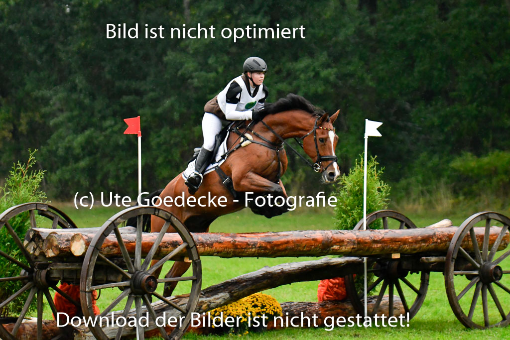 Mechtersen 24.09.2022 | 24092022 CCI XC _649 