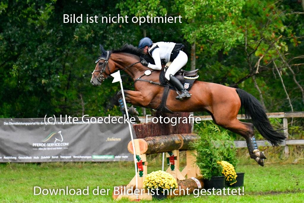 Mechtersen 24.09.2022 | 24092022 CCI XC _699 