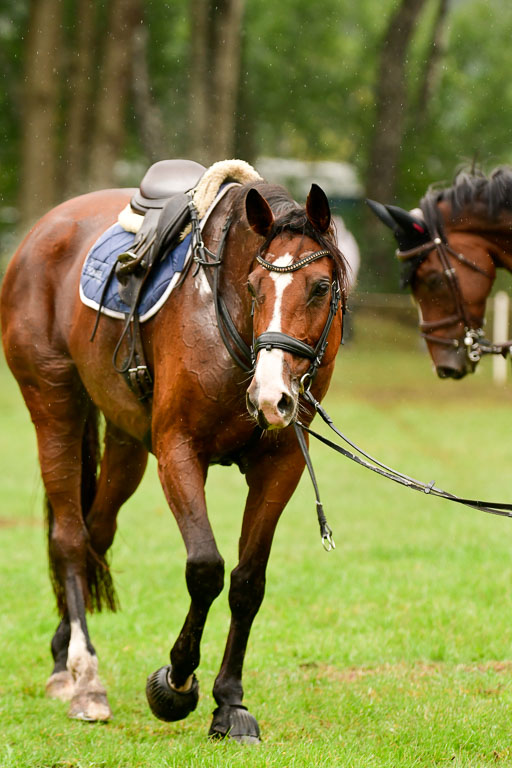 Mechtersen 24.09.2022 | 24092022 CCI XC _214 