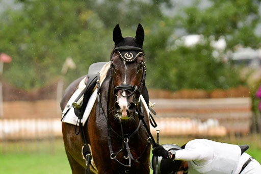 Mechtersen 24.09.2022 | 24092022 CCI XC _426 