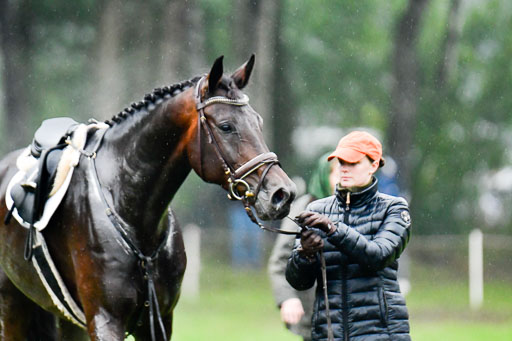 Mechtersen 24.09.2022 | 24092022 CCI XC _728 