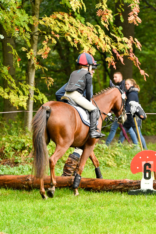 Mechtersen 24.09.2022 | 24092022 Führzügel _020 