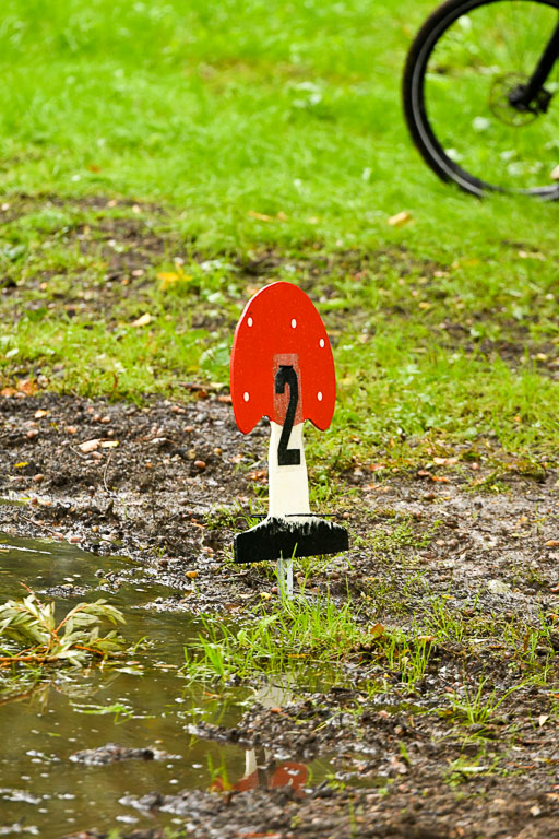 Mechtersen 24.09.2022 | 24092022 Führzügel _023 