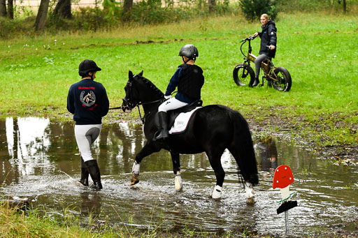 Mechtersen 24.09.2022 | 24092022 Führzügel _024 