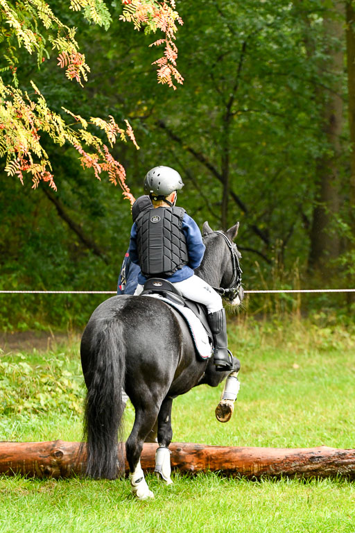 Mechtersen 24.09.2022 | 24092022 Führzügel _030 