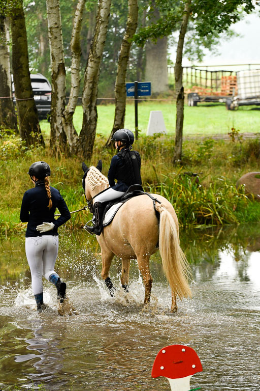 Mechtersen 24.09.2022 | 24092022 Führzügel _051 