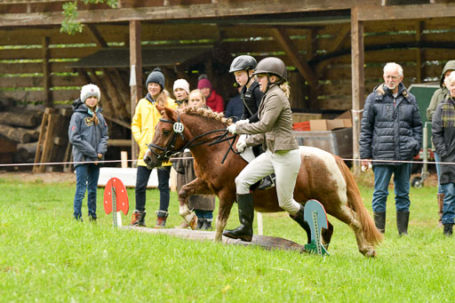 Mechtersen 24.09.2022 | 24092022 Führzügel _090 