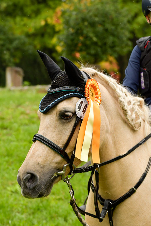 Mechtersen 24.09.2022 | 24092022 Führzügel _135 