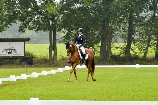 Mechtersen 09.07.2022 | 25092022 Impressionen_06 