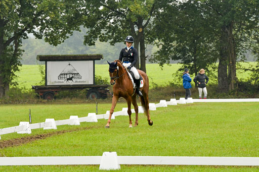 Mechtersen 09.07.2022 | 25092022 Impressionen_07 