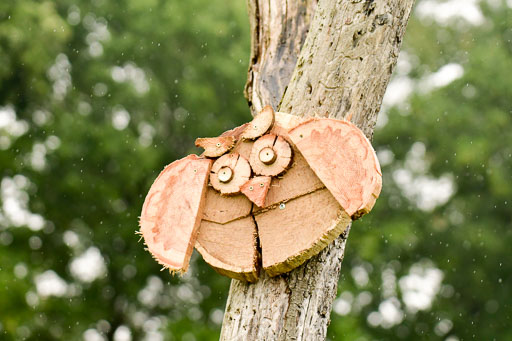 Mechtersen 09.07.2022 | 25092022 Impressionen_20 