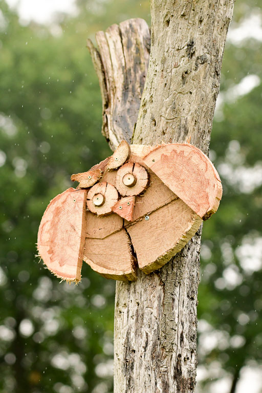 Mechtersen 09.07.2022 | 25092022 Impressionen_21 