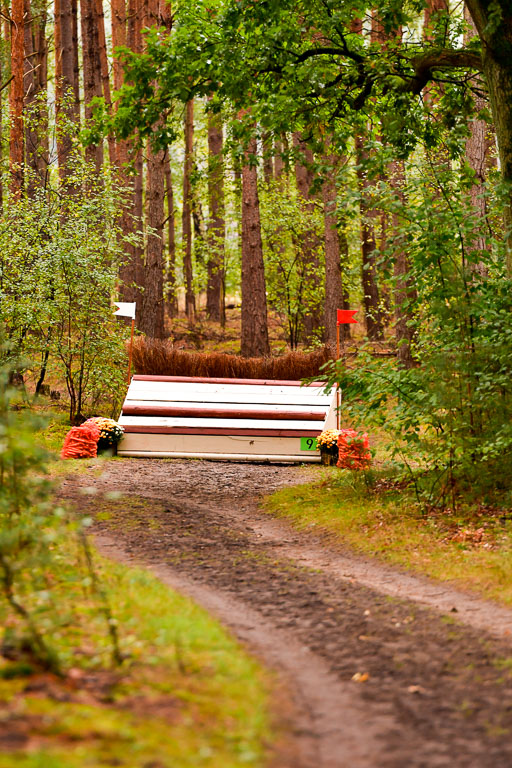 Mechtersen 09.07.2022 | 25092022 Impressionen_35 