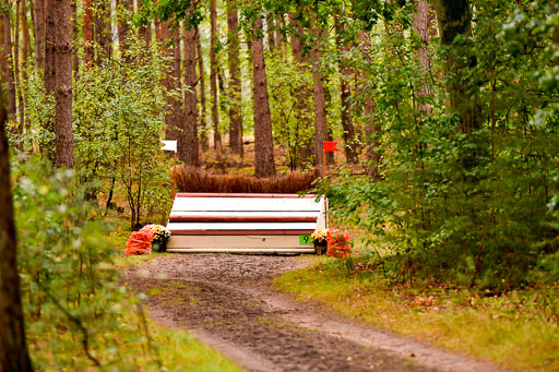 Mechtersen 09.07.2022 | 25092022 Impressionen_36 