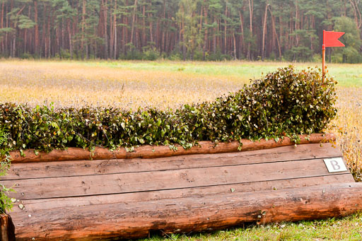 Mechtersen 09.07.2022 | 25092022 Impressionen_39 