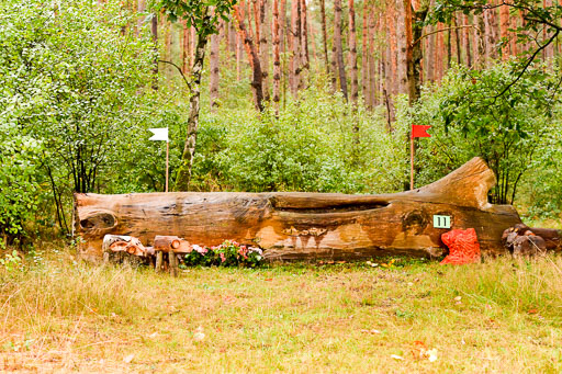 Mechtersen 09.07.2022 | 25092022 Impressionen_40 