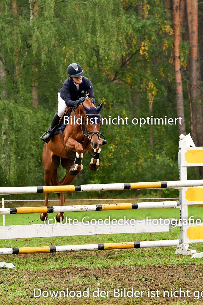 Mechtersen 24.09.2022 | 24092022 Springen_44 