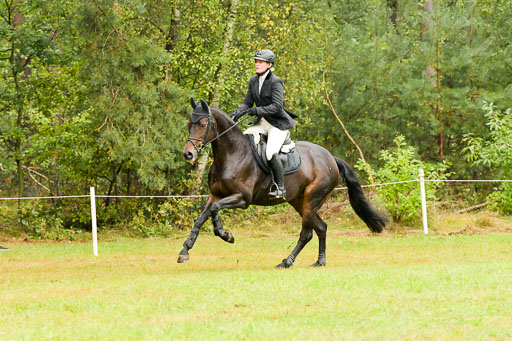 Springen CCI