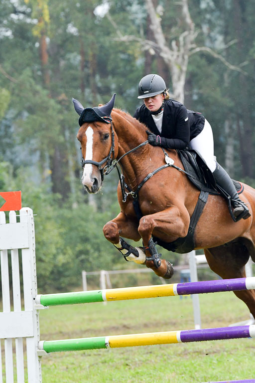 Springen CCI