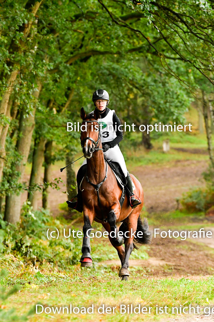 Mechtersen 25.09..2022 | 25092022_VAXC_106 