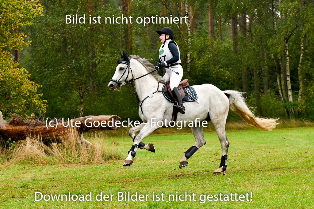 Mechtersen 25.09..2022 | 25092022_VAXC_128 