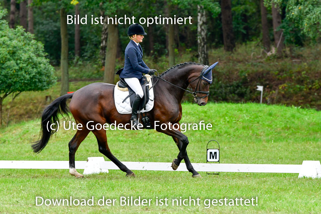 Mechtersen 25.09..2022 | 25092022_VAXC_19 