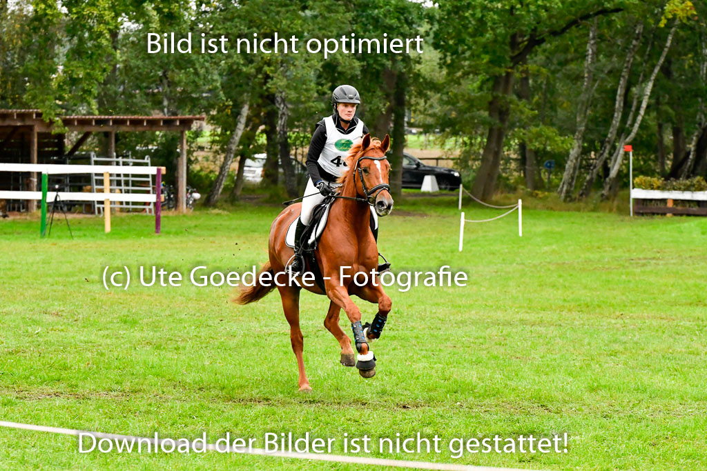 Mechtersen 25.09..2022 | 25092022_VAXC_197 