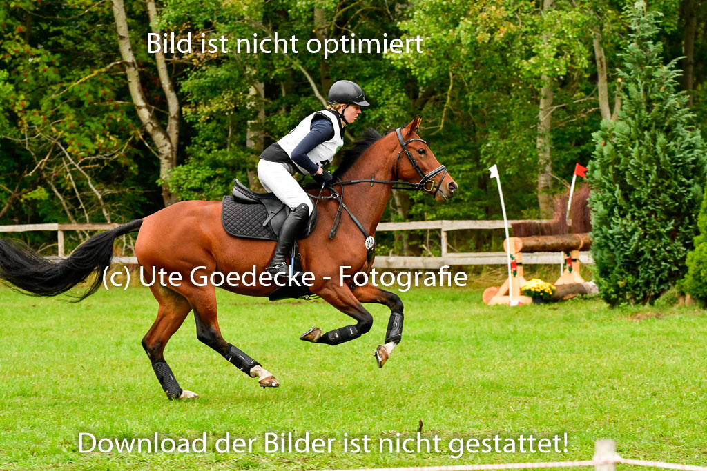 Mechtersen 25.09..2022 | 25092022_VAXC_239 