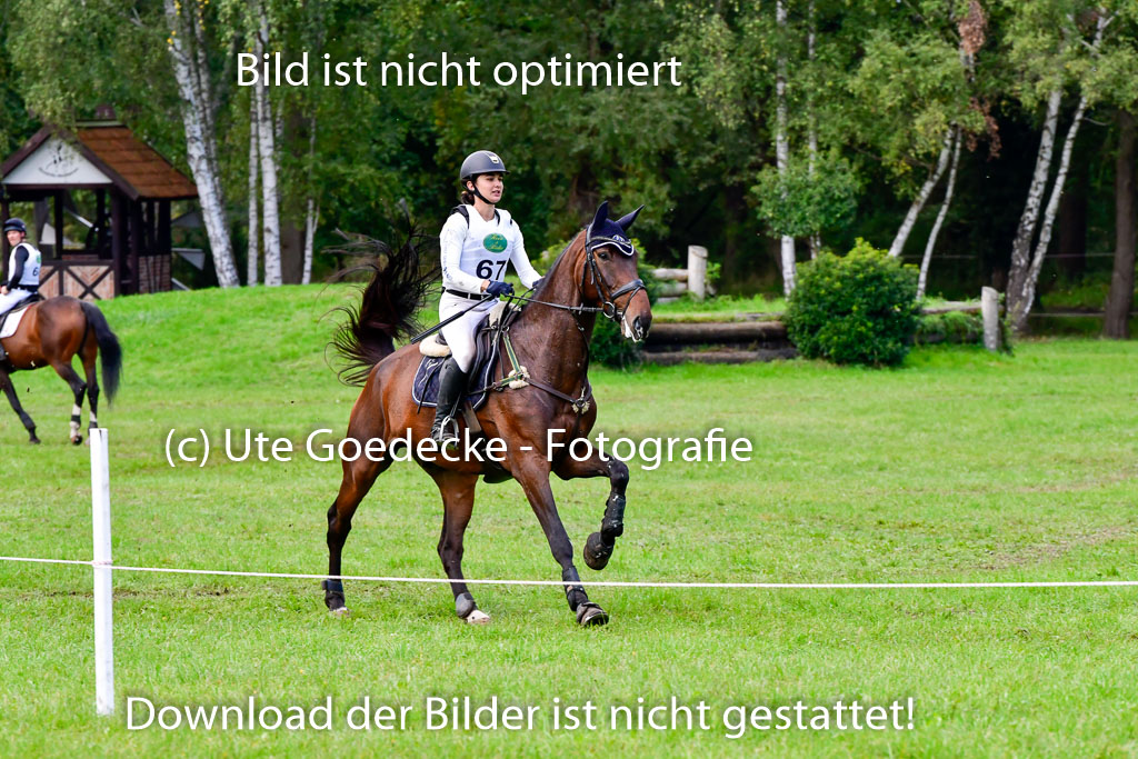 Mechtersen 25.09..2022 | 25092022_VAXC_289 