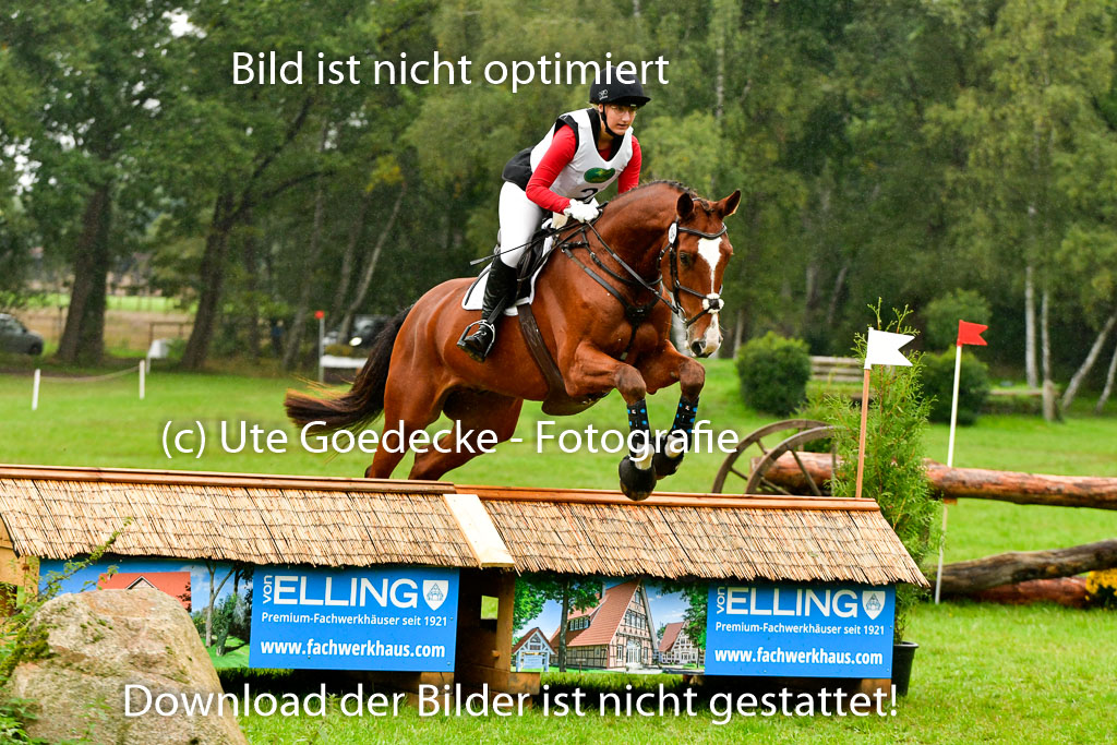 Mechtersen 25.09..2022 | 25092022_VAXC_39 