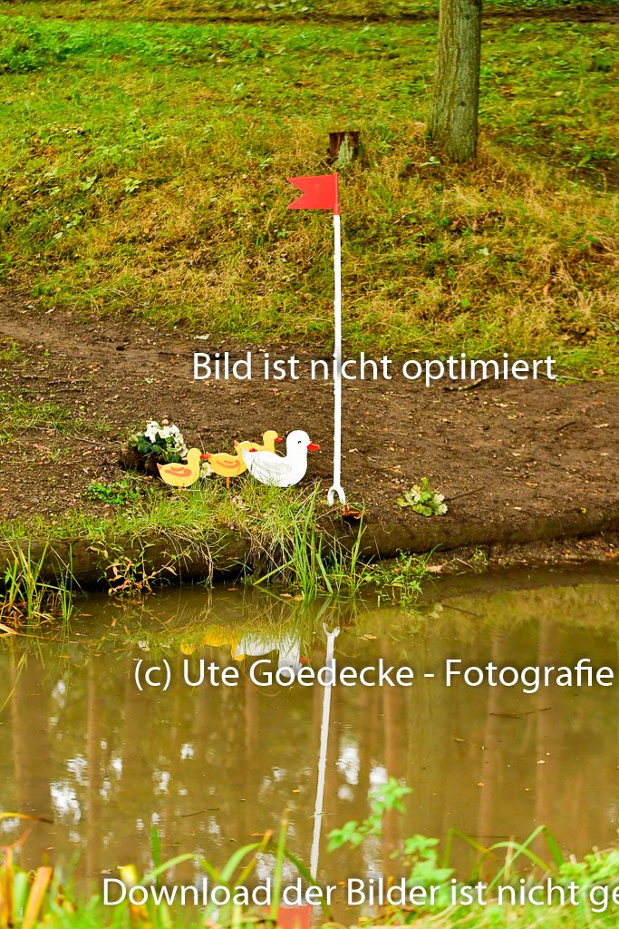 Mechtersen 25.09..2022 | 25092022_VAXC_40 