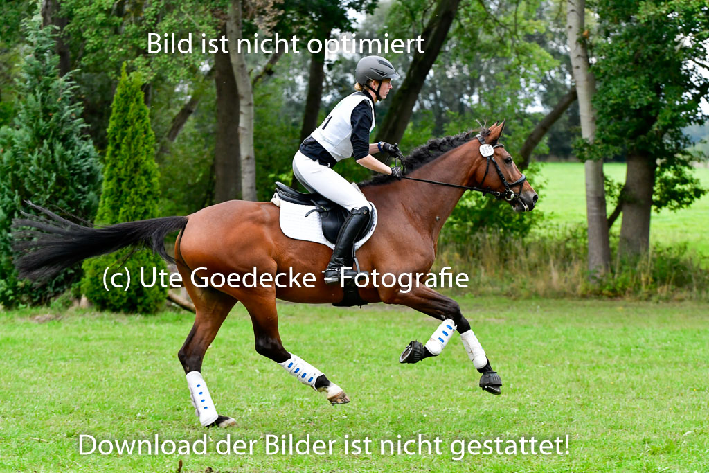 Mechtersen 25.09..2022 | 25092022_VAXC_403 