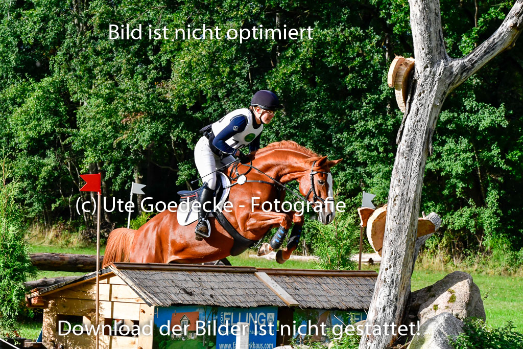 Mechtersen 25.09..2022 | 25092022_VAXC_425 