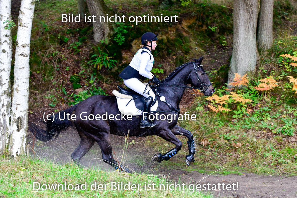 Mechtersen 25.09..2022 | 25092022_VAXC_49 