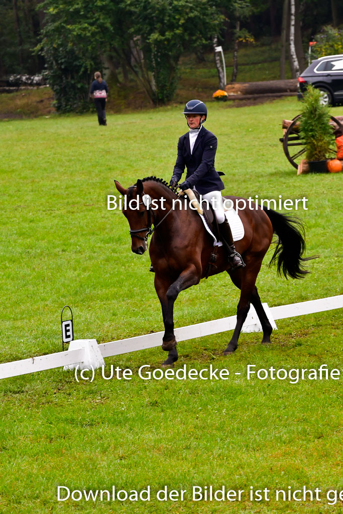 Mechtersen 25.09..2022 | 25092022_VAXC_5 