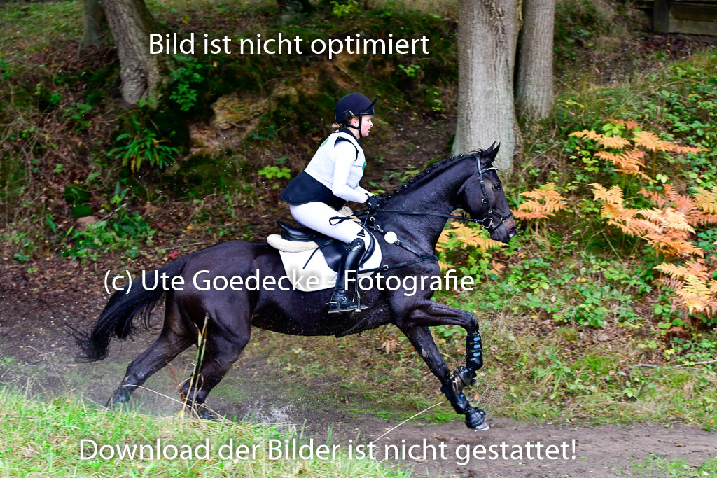 Mechtersen 25.09..2022 | 25092022_VAXC_50 