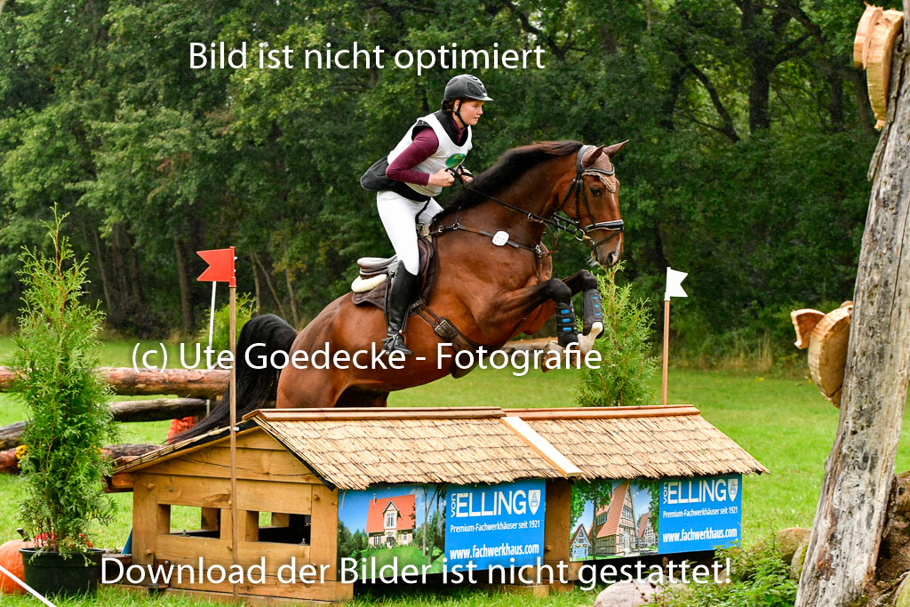 Mechtersen 25.09..2022 | 25092022_VAXC_65 