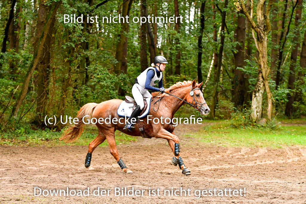 Mechtersen 25.09..2022 | 25092022_VAXC_82 