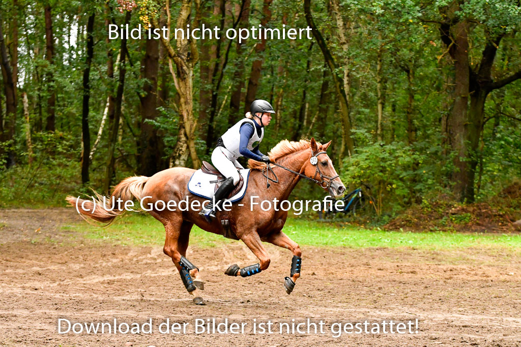 Mechtersen 25.09..2022 | 25092022_VAXC_83 