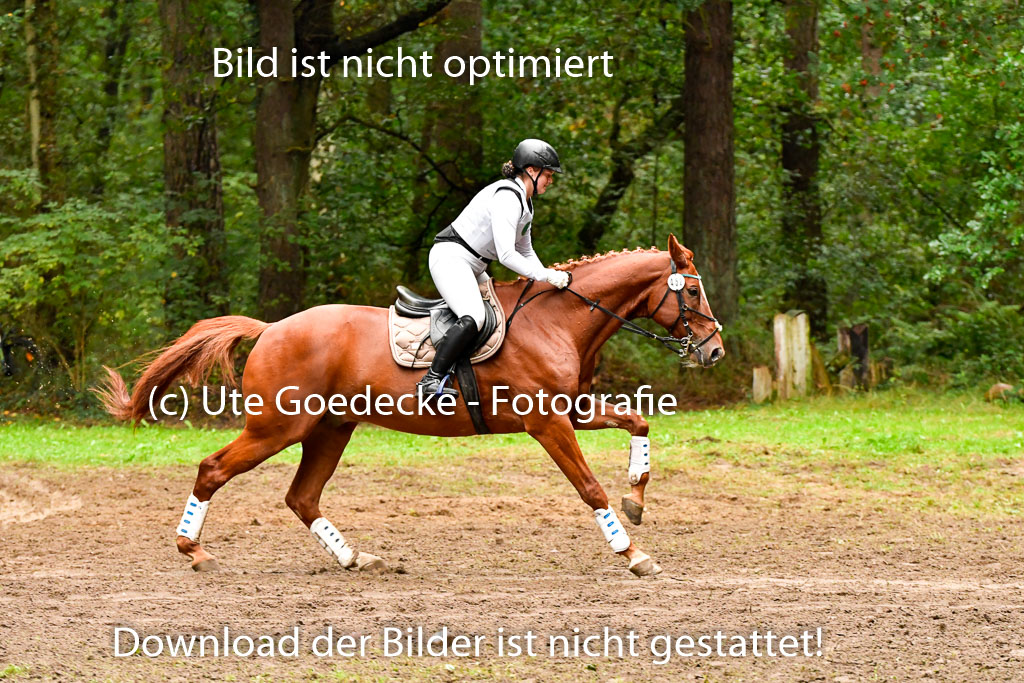 Mechtersen 25.09..2022 | 25092022_VAXC_91 