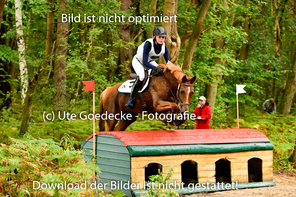 Mechtersen 25.09..2022 | 25092022_VAXC_96 