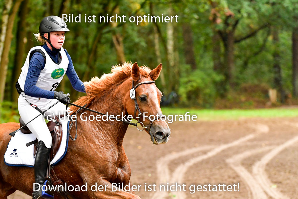 Mechtersen 25.09..2022 | 25092022_VAXC_97 