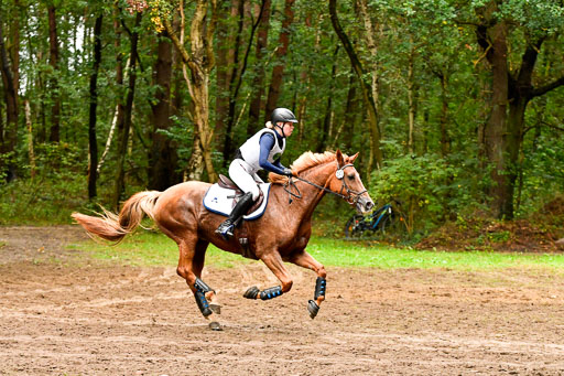 Mechtersen 25.09..2022 | 25092022_VAXC_83 