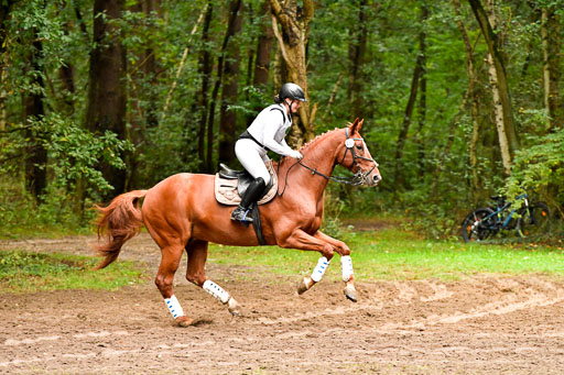 Mechtersen 25.09..2022 | 25092022_VAXC_89 