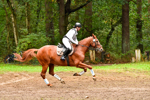 Mechtersen 25.09..2022 | 25092022_VAXC_90 