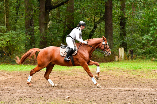 Mechtersen 25.09..2022 | 25092022_VAXC_91 