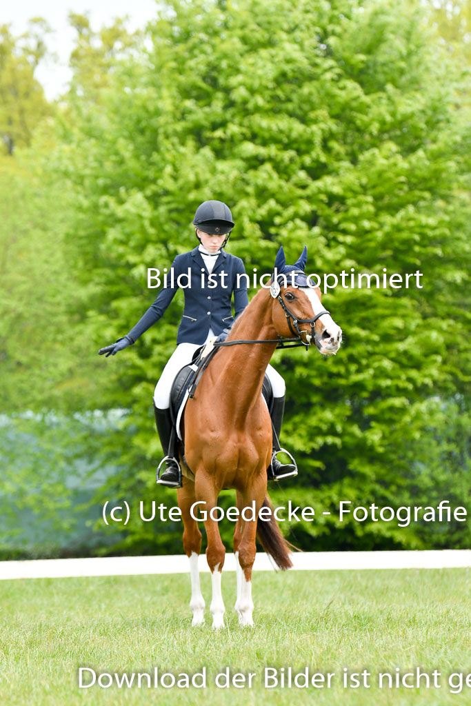 NG Eventing Elmenhorst 7.5.22 | 07052022 Elmenhorst VE _001